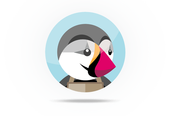 Hosting Prestashop